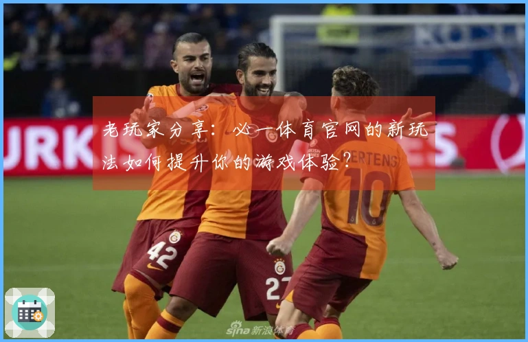 老玩家分享：必一体育官网的新玩法如何提升你的游戏体验？